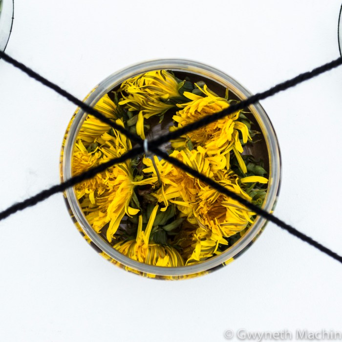 Sculpture Man Nature Art