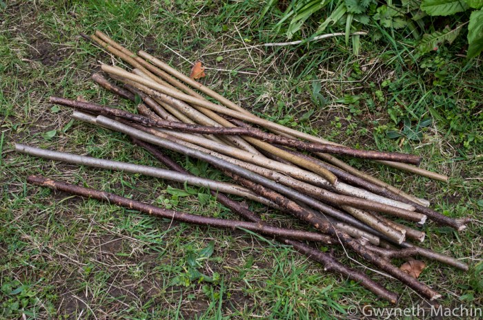 Natural Balance Sculpture