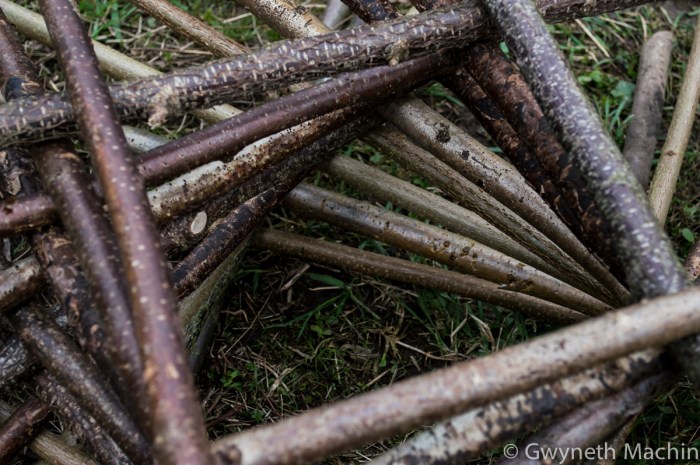 Natural Balance Sculpture